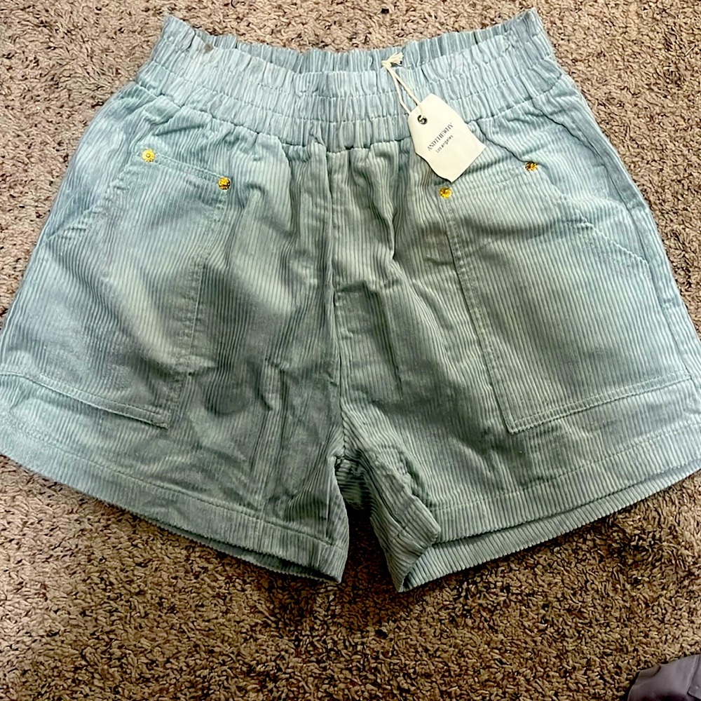 New with tag boutique sage green shorts